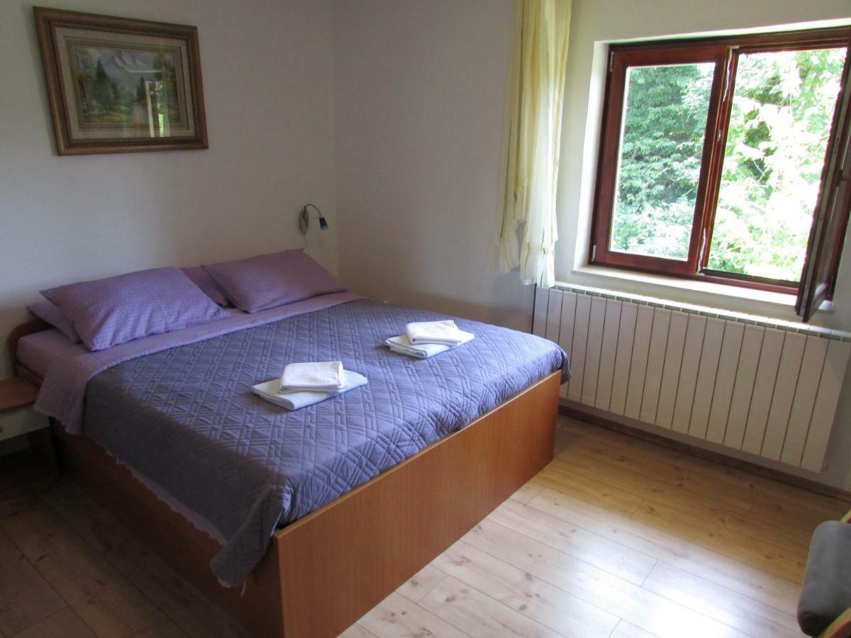 House Nenad Hotel Plitvička Jezera Eksteriør billede